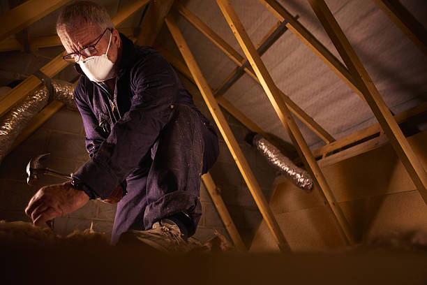 Insulation Replacement Services in Holualoa, HI